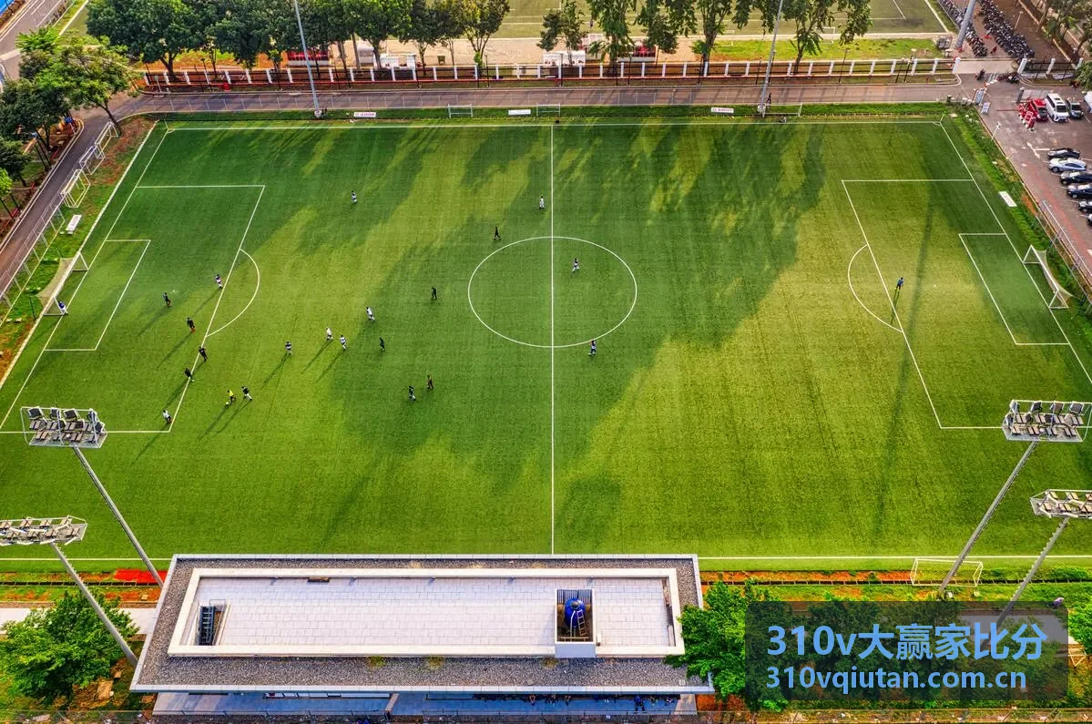 310v大赢家比分实时速递